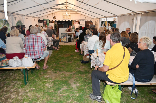 Kulturpicknick_LesungMusik_160826_10